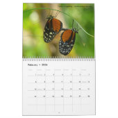 Kalender van diverse insecten (Feb 2026)