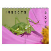 Kalender van diverse insecten (Hoes)