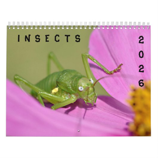 Kalender van diverse insecten (Hoes)