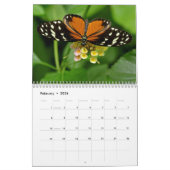 Kalender van diverse insecten (Feb 2026)