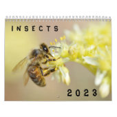 Kalender van diverse insecten (Hoes)