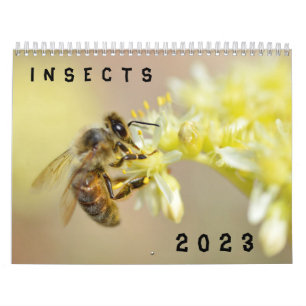 Kalender van diverse insecten