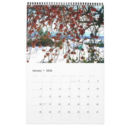 Kalender van het Japanse Platteland (Jan 2026)