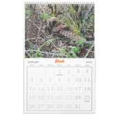 Kalender van het Pangolin Rescue Fund 2025 (Jan 2026)