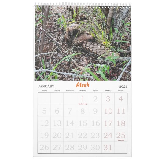 Kalender van het Pangolin Rescue Fund 2025 (Jan 2026)