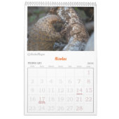 Kalender van het Pangolin Rescue Fund 2025 (Feb 2026)