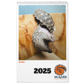 Kalender van het Pangolin Rescue Fund 2025 (Hoes)