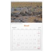 Kalender van het Pangolin Rescue Fund 2025 (Mar 2026)