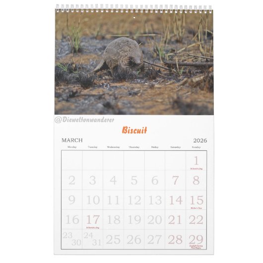 Kalender van het Pangolin Rescue Fund 2025 (Mar 2026)