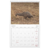 Kalender van het Pangolin Rescue Fund 2026 (Mar 2026)