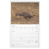 Kalender van het Pangolin Rescue Fund 2026 (Mar 2027)