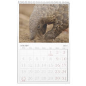 Kalender van het Pangolin Rescue Fund 2026 (Jan 2027)