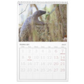 Kalender van het Pangolin Rescue Fund 2026 (Feb 2027)