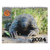 Kalender van het reddingsfonds Pangolin 2024 (Hoes)