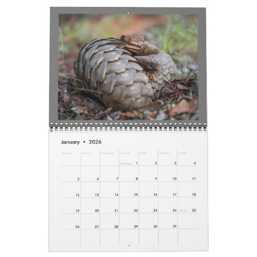 Kalender van het reddingsfonds Pangolin 2024 (Jan 2026)