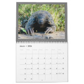 Kalender van het reddingsfonds Pangolin 2024 (Mar 2026)
