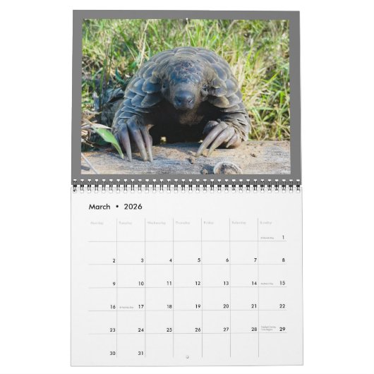 Kalender van het reddingsfonds Pangolin 2024 (Mar 2026)