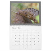 Kalender van het reddingsfonds Pangolin 2024 (Feb 2026)