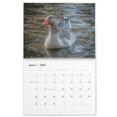 Kalender van het vogelmeer Hallowell Lake Photogra (Mar 2026)