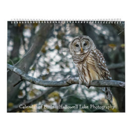 Kalender van het vogelmeer Hallowell Lake Photogra