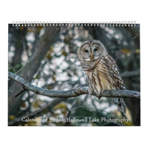 Kalender van het vogelmeer Hallowell Lake Photogra
