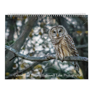 Kalender van het vogelmeer Hallowell Lake Photogra