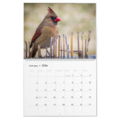 Kalender van het vogelmeer Hallowell Lake Photogra (Jan 2026)