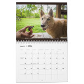 Kalender van Matilda voor 2024 (Mar 2026)