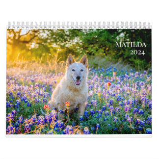 Kalender van Matilda voor 2024