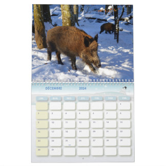 Kalender van Sanglier, Calendar Boars