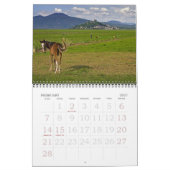 Kalender van Skip Hunt Foto's (Feb 2027)