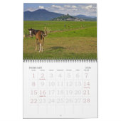 Kalender van Skip Hunt Foto's (Feb 2026)