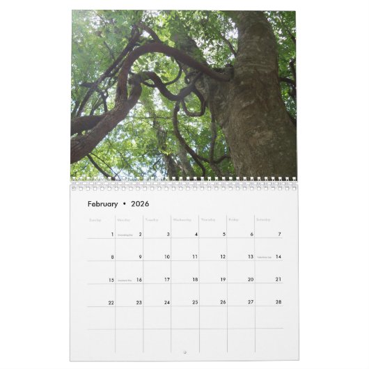 Kalender van Sunny Daze Fotofavorieten (Feb 2026)