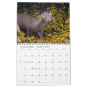 Kalender van Vancouver Island 2026 (Mar 2026)