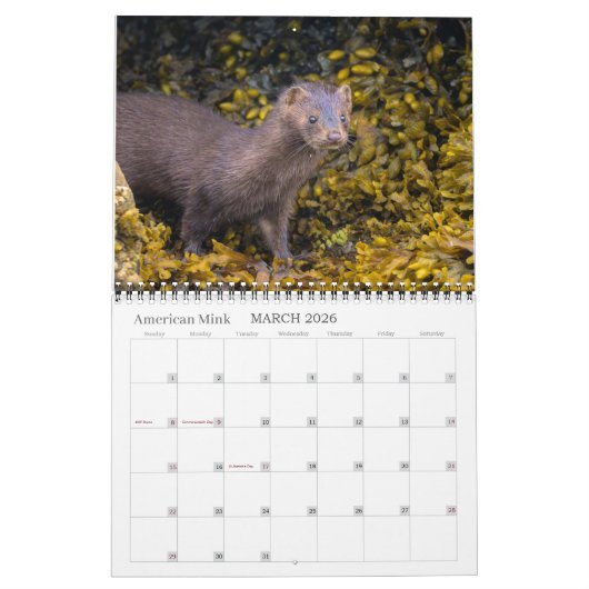 Kalender van Vancouver Island 2026 (Mar 2026)