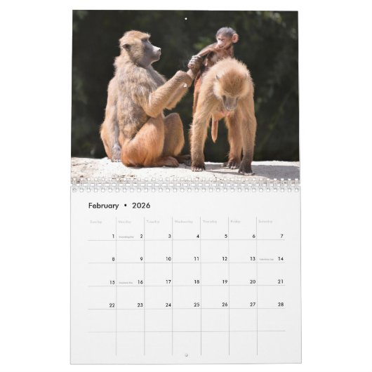Kalender van verschillende apen (Feb 2026)