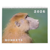 Kalender van verschillende apen (Hoes)