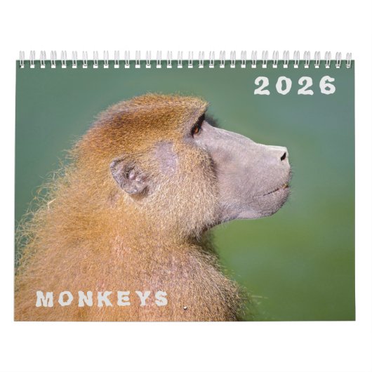 Kalender van verschillende apen (Hoes)