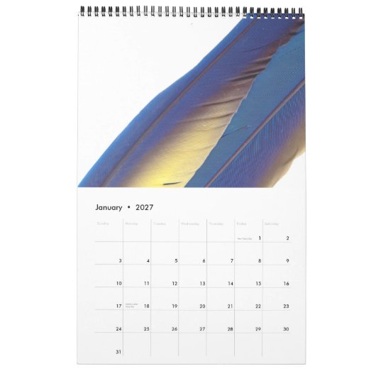 Kalender van vogelveren 2015 (Jan 2027)
