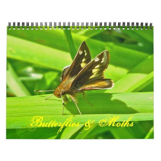 Kalender - Vlinders & Motten (Hoes)