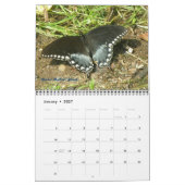 Kalender - Vlinders & Motten (Jan 2027)