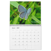 Kalender - Vlinders & Motten (Mar 2027)