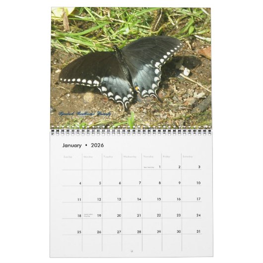 Kalender - Vlinders & Motten (Jan 2026)