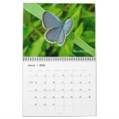 Kalender - Vlinders & Motten (Mar 2026)