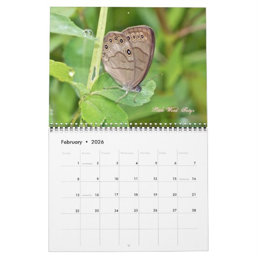 Kalender - Vlinders & Motten (Feb 2026)