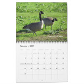 Kalender - vogels (Feb 2027)