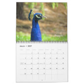 Kalender - vogels (Mar 2027)