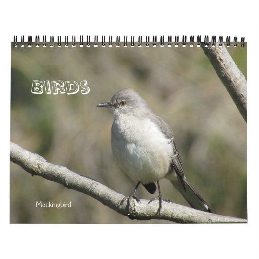 Kalender - vogels (Hoes)