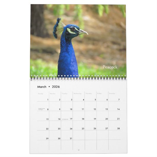 Kalender - vogels (Mar 2026)
