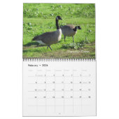 Kalender - vogels (Feb 2026)